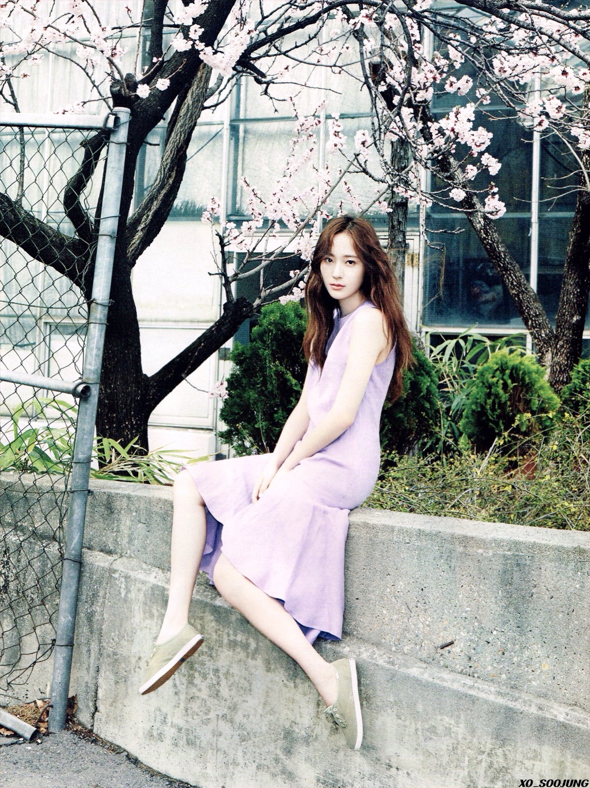 krystal郑秀晶画报