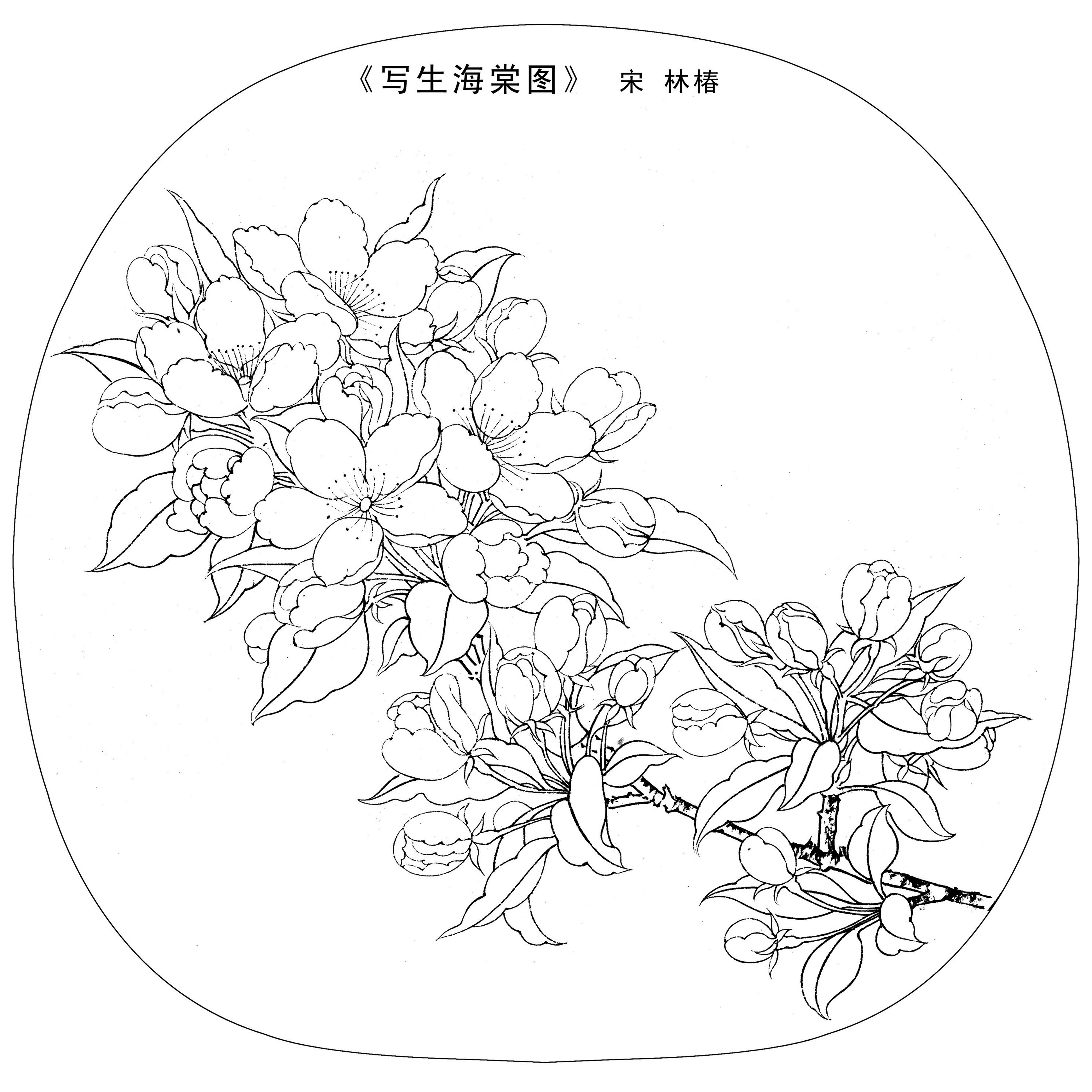 底稿- 堆糖,美图壁纸兴趣社区