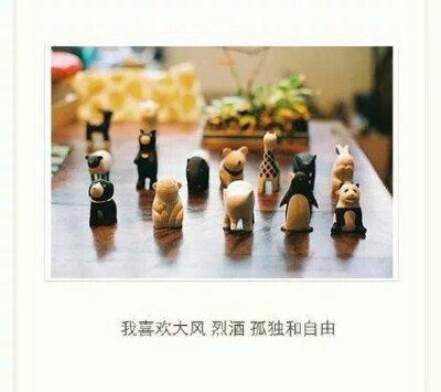 我有孤独和烈酒