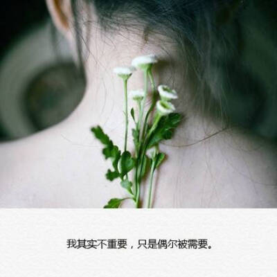 伤感文字图片 头像 手机壁纸 空间壁纸 锁屏壁纸 小清新图片 我也只是