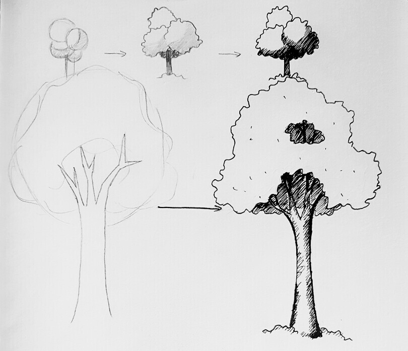 树的画法素描简单图片