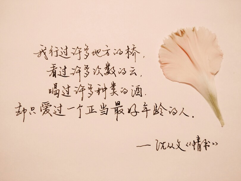 文|沈从文《情书》字|andor