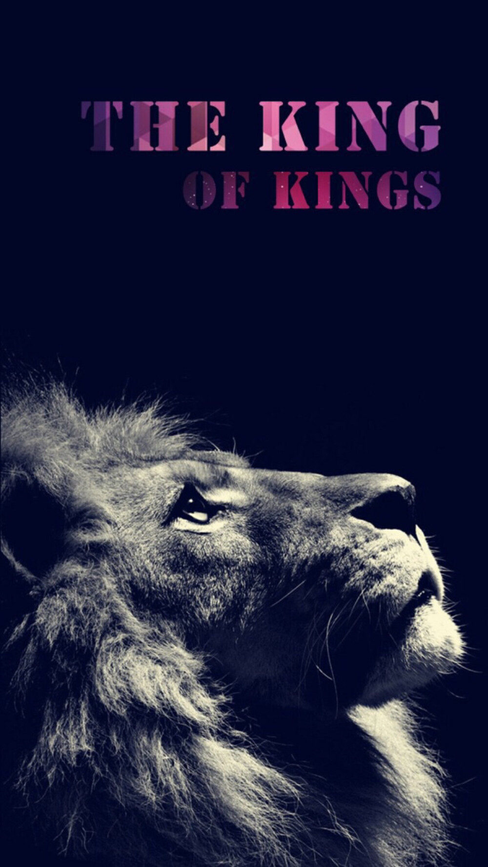 king - 堆糖,美图壁纸兴趣社区