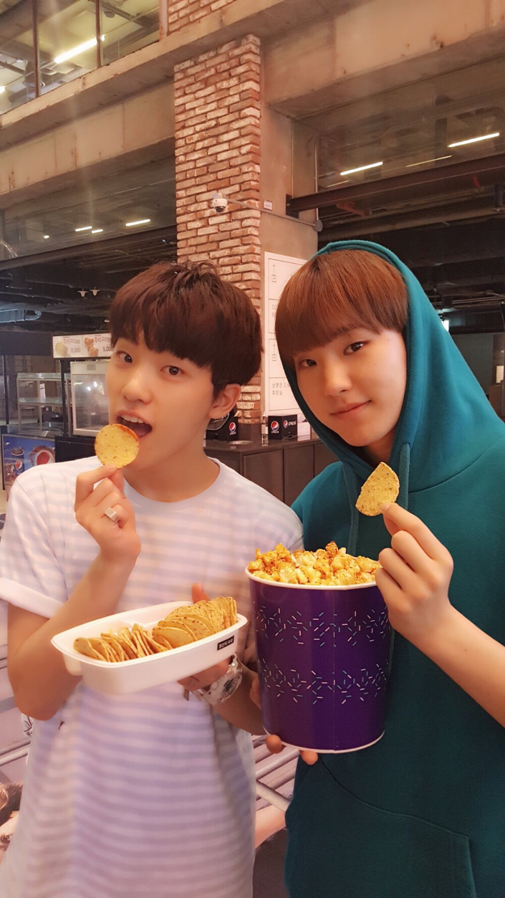 seventeen 十七 dino 李灿