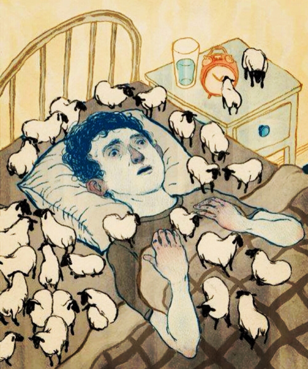 晚上睡不着数羊的照片图片