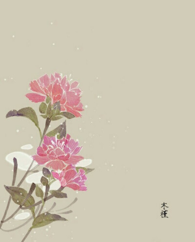 木槿 古风