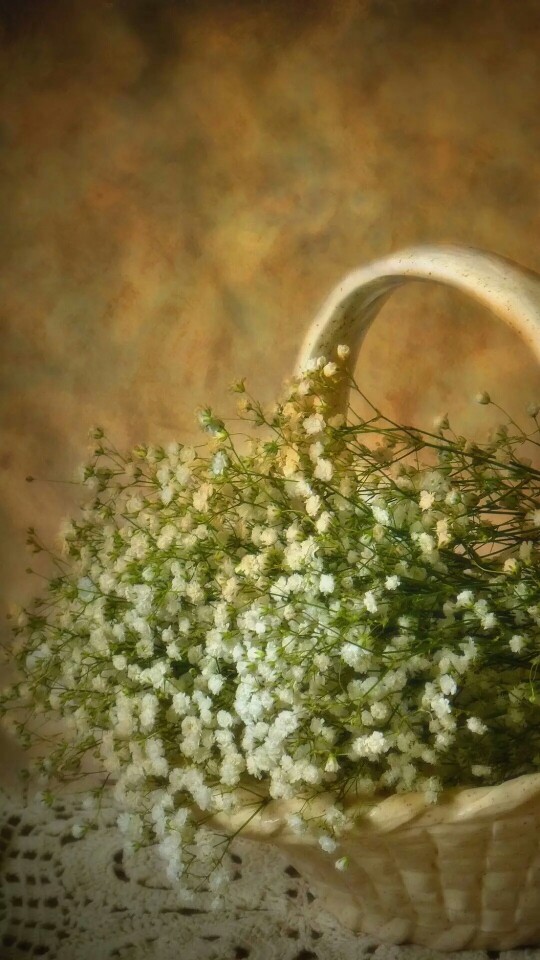 满天星 小清新壁纸