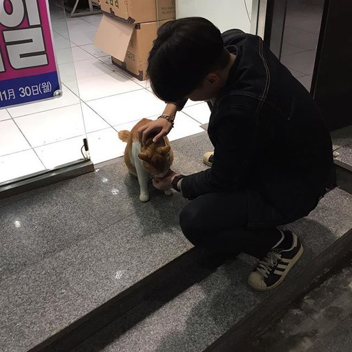 daisy妤故の男生头像男头韩系