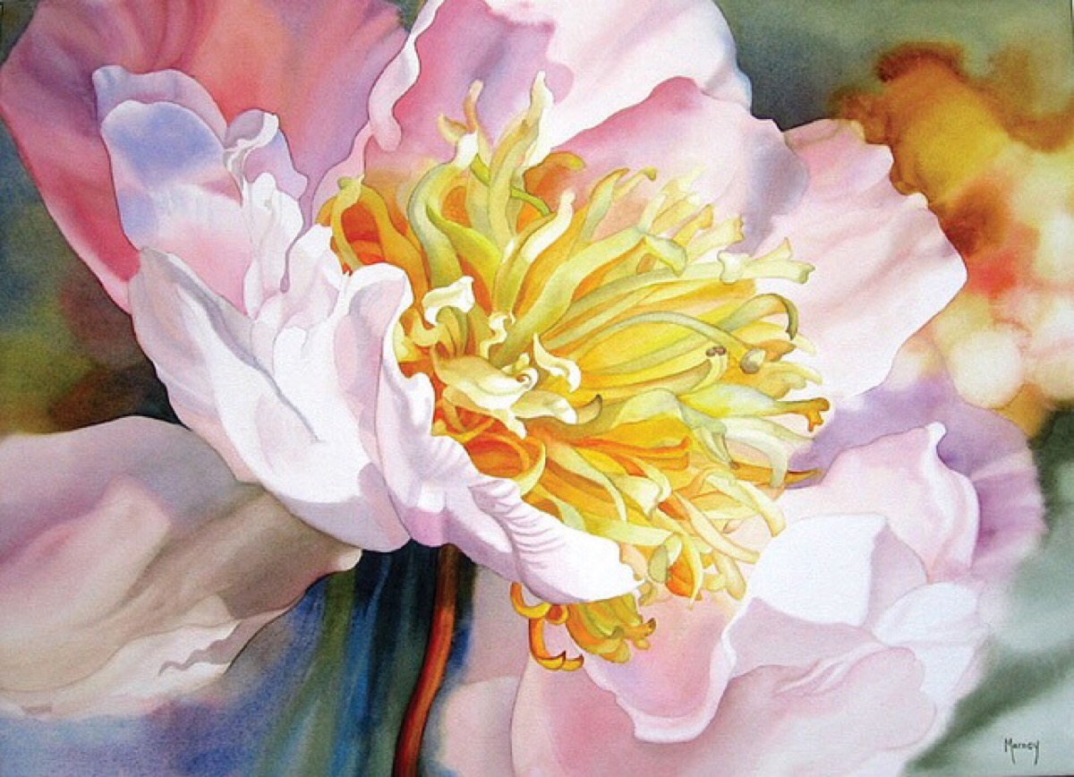 加拿大女画家marney ward水彩花卉欣赏