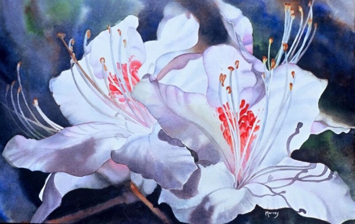 加拿大画花卉的女画家图片