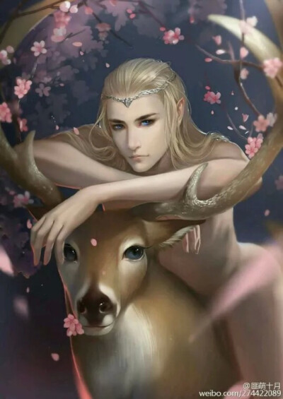精灵王子
