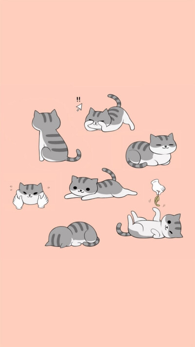 动物