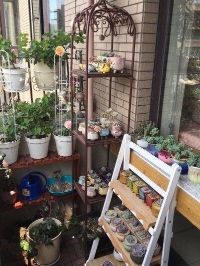 小院儿 花房