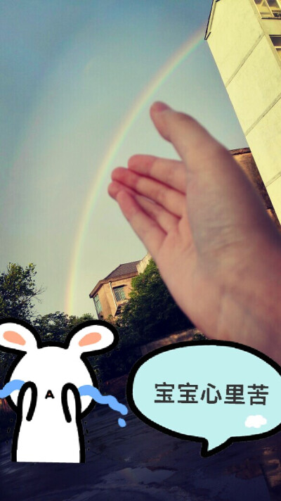 什么头