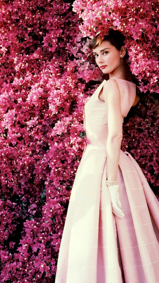 女神赫本 - 堆糖,美图壁纸兴趣社区