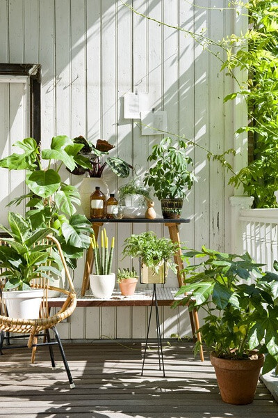 室内植物墙公司-打造家居氧吧生活，室内植物墙轻松帮你实现