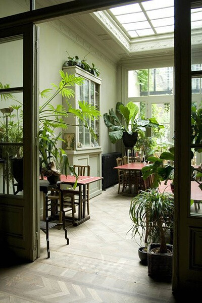 綠植墻貼圖-家庭室內植物墻，值得推薦的三個案例