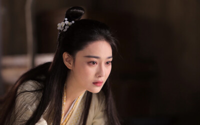 思美人张馨予手绘