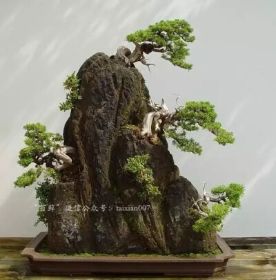山水盆景