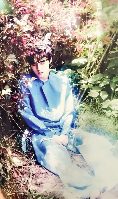 花仙子#吴世勋