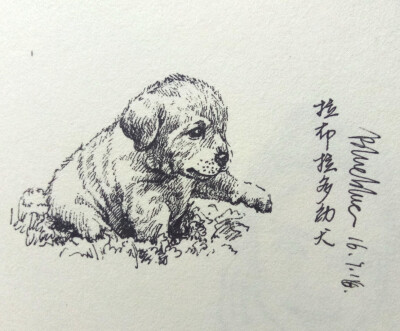 速写