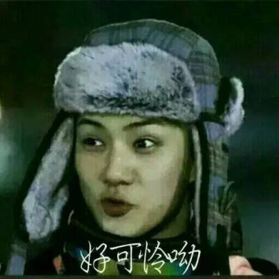 好可怜哦