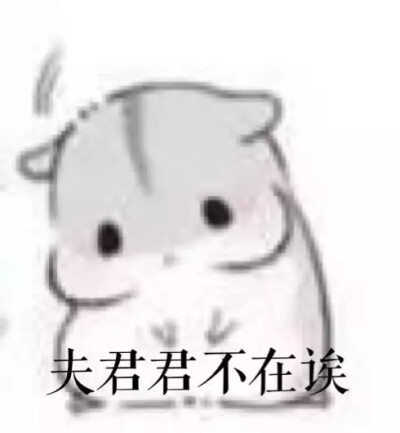 【夫君君 小娘子系列】仓鼠 抱瓜子 可爱 萌 表情包 聊天专用