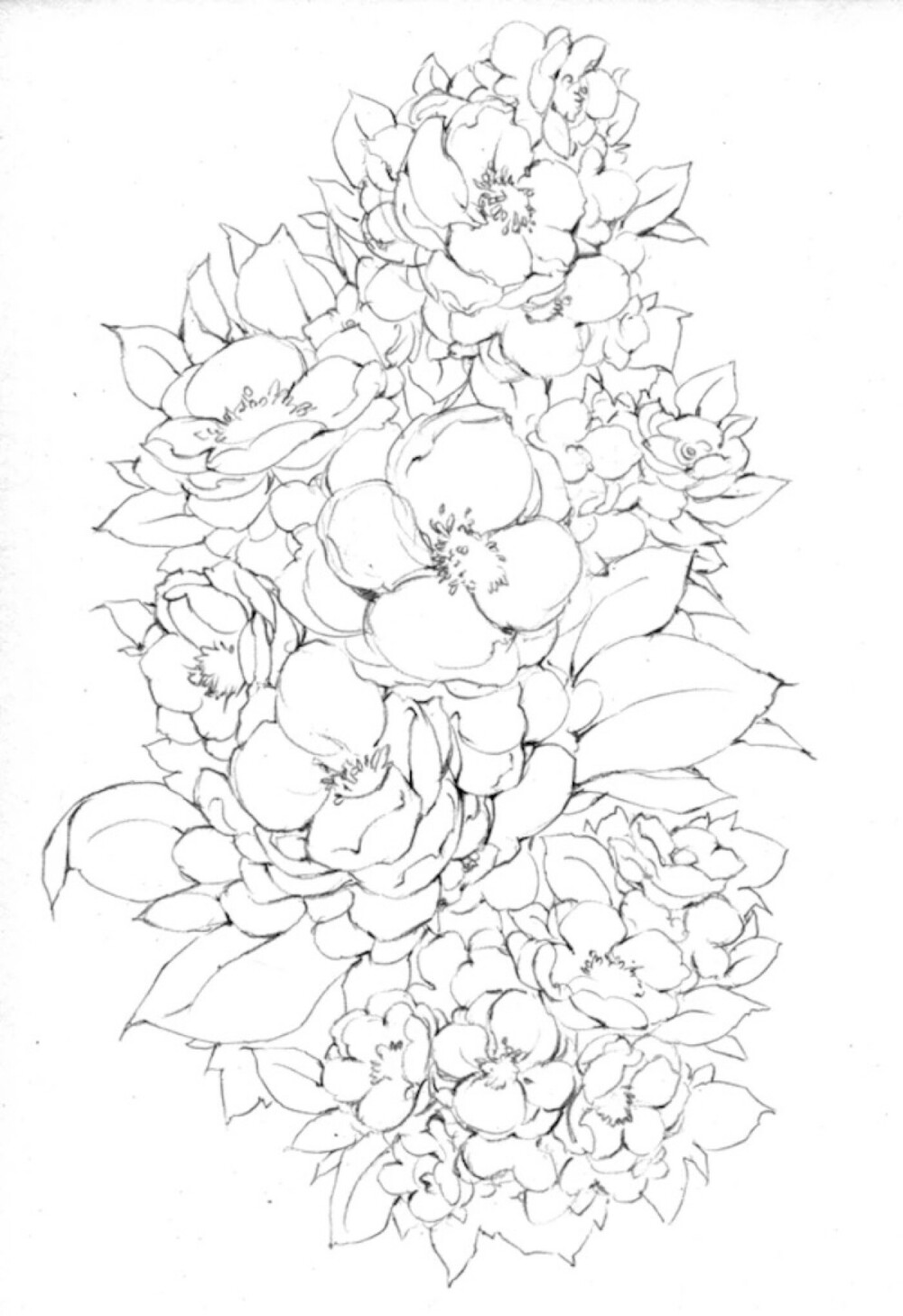 花线稿素材