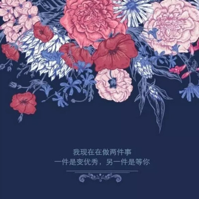 我现在在做两件事,一件事变优秀,另一件是等你