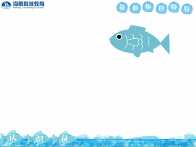 这节课我们让孩子们画鱼,他们会好奇鱼为什么长这样,那我们用这三个