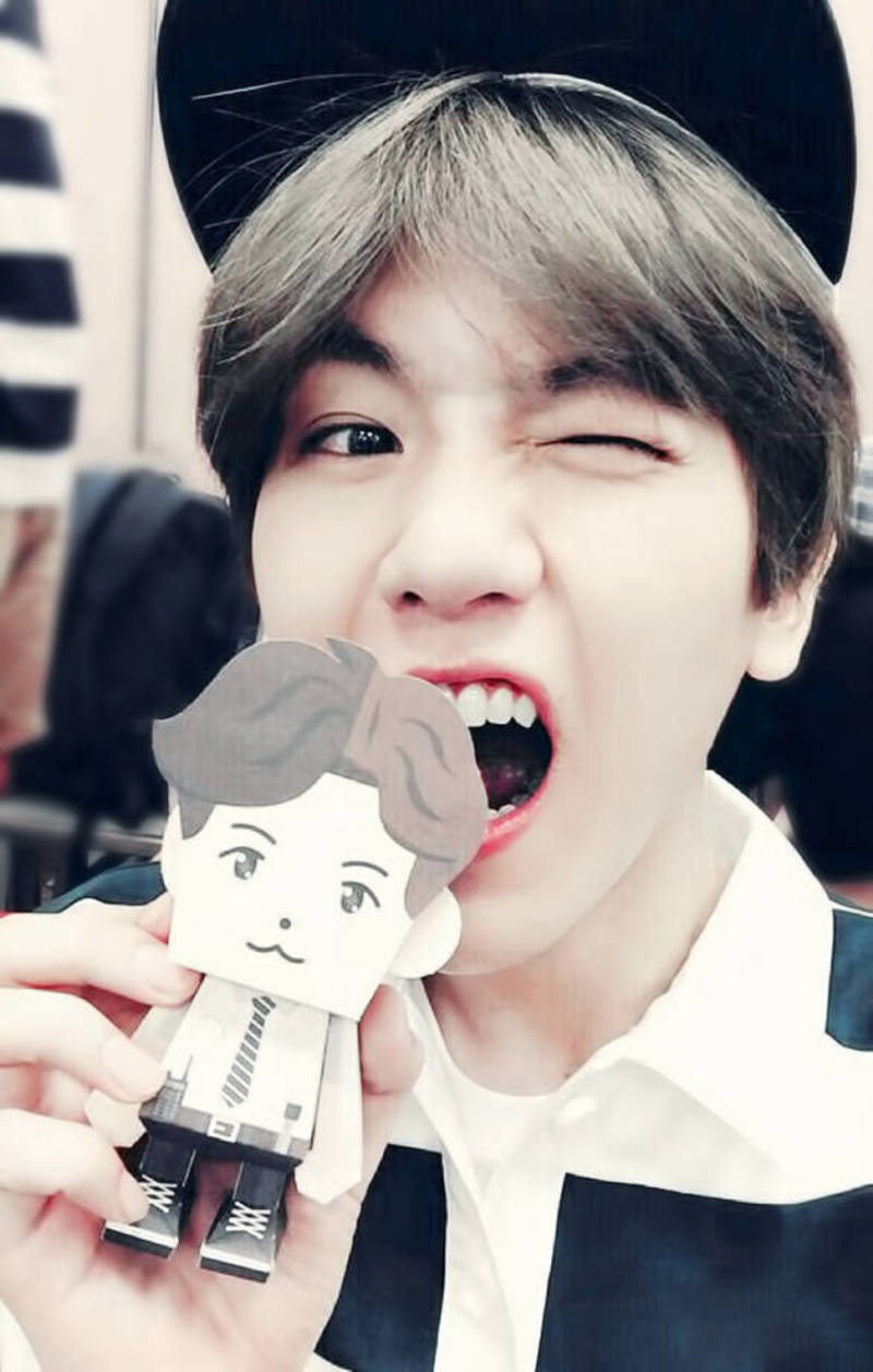 又萌又帅 边伯贤baekhyun exo