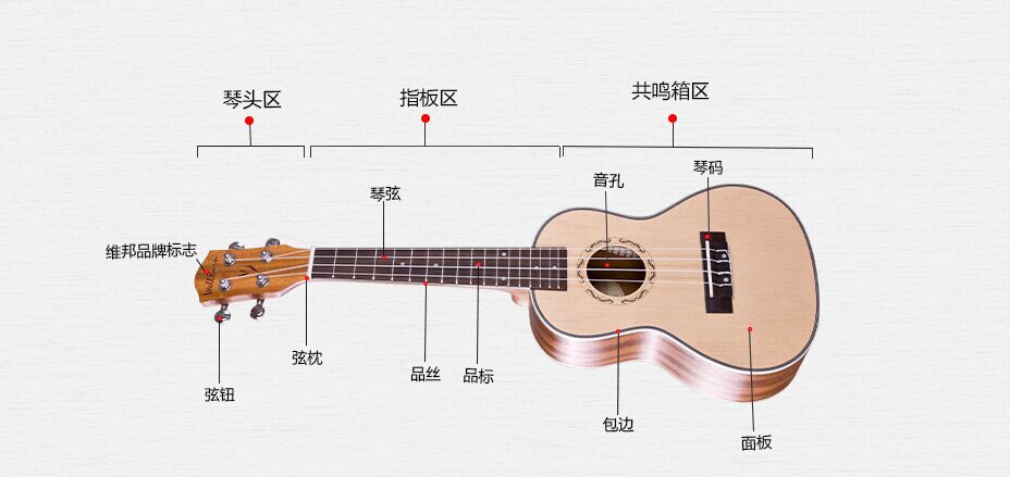 尤克里里部件介绍