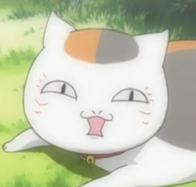 猫咪震惊表情包