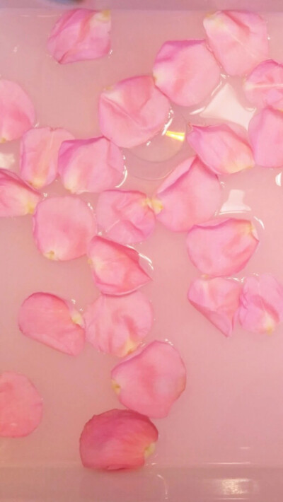 花瓣 水 粉色 小清新