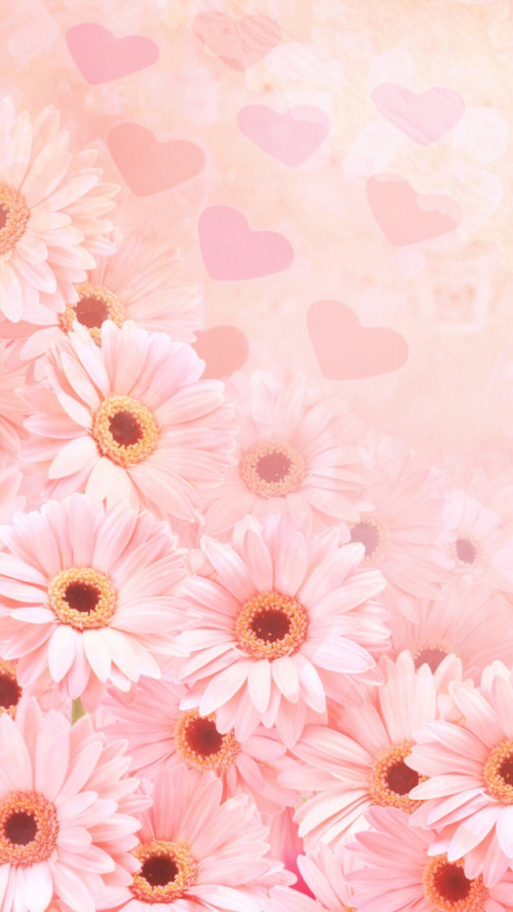 鲜花 清新 摄影 田园 绿色 自然 淡雅 风景名胜 壁纸 素材 锁屏 屏保