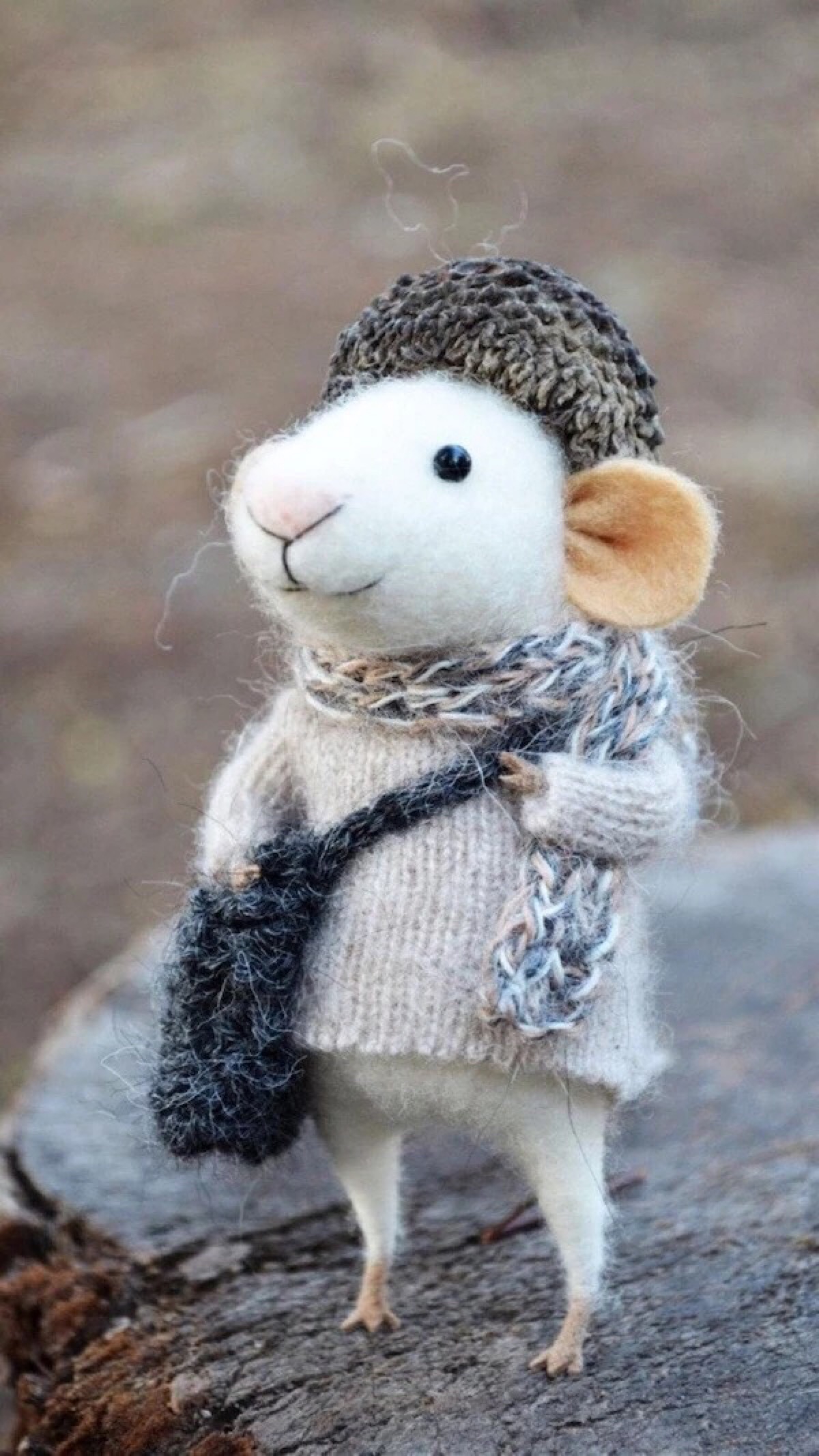 小老鼠 - 堆糖,美图壁纸兴趣社区