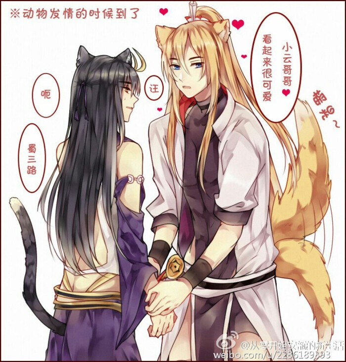 re从零开始的老司机生活:#我家大师兄脑子有坑##龚大# 兽拟,龚汪和云