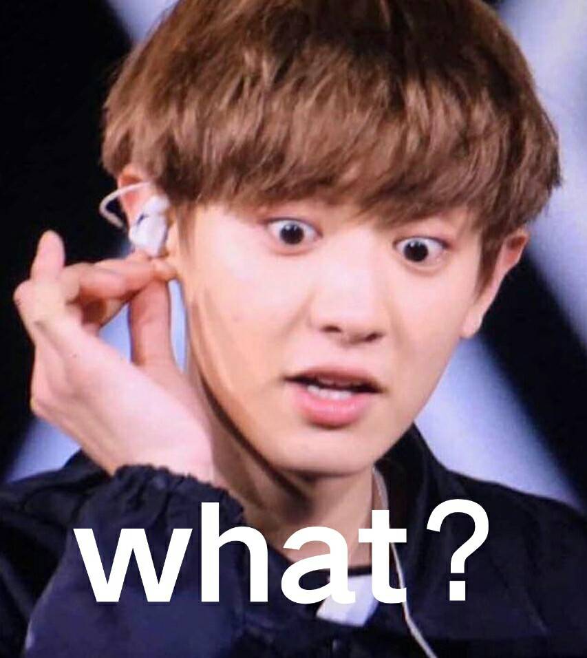 朴灿烈表情包 "what?" 鱼鱼表示…… (图cr微博)