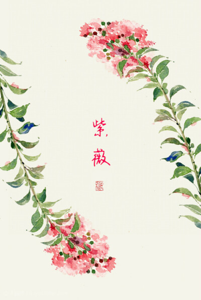 【紫薇花 植物】【画手:不语氏】食物 饮料 贴纸 手账 字体 原稿 线稿