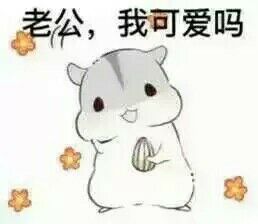 仓鼠球表情包系列老公