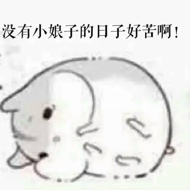 仓鼠球表情包系列小娘子