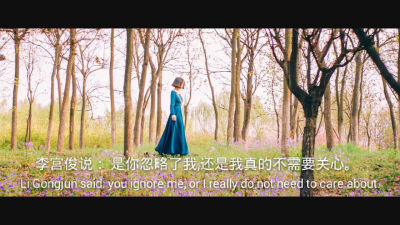 (李宫俊的诗:是你忽略了我,还是我真的不需要关心.