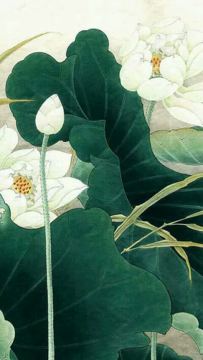 微信&qq 背景图壁纸锁屏古风荷花