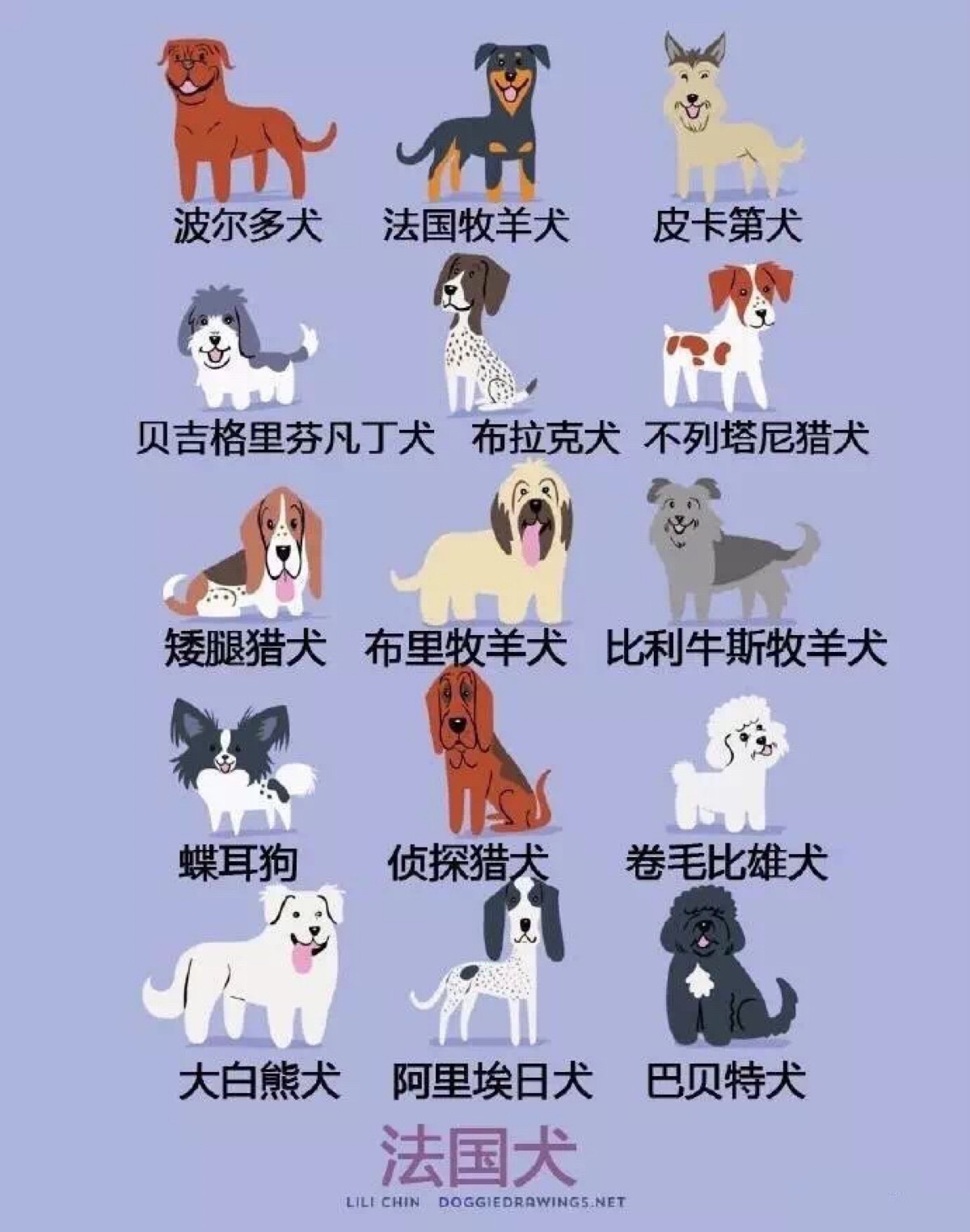 狗的类型 基本图片