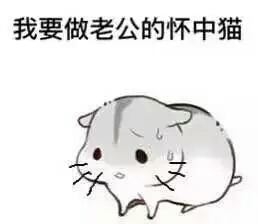 仓鼠球表情包系列老公
