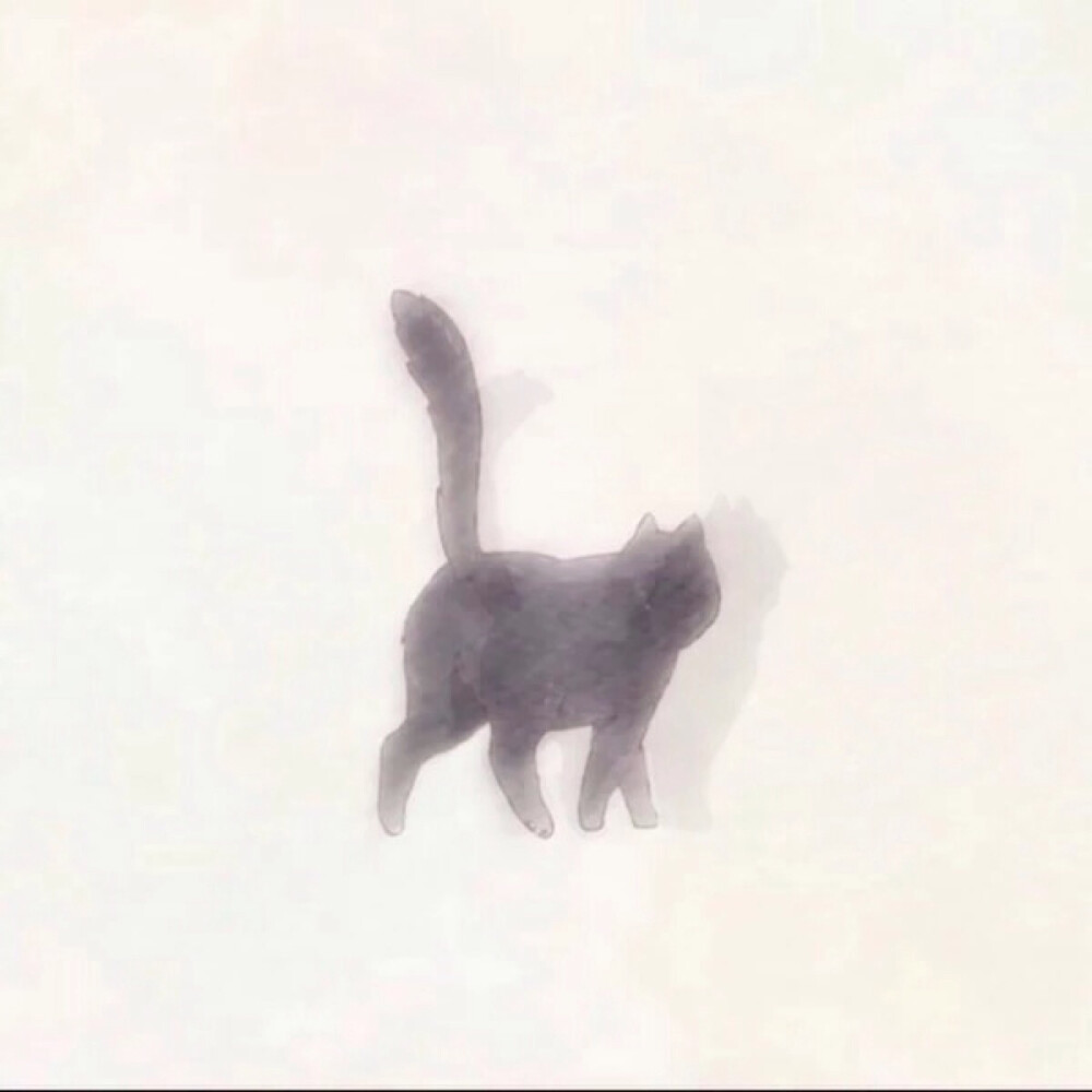 头像 她与她的猫