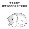 表情包 小仓鼠