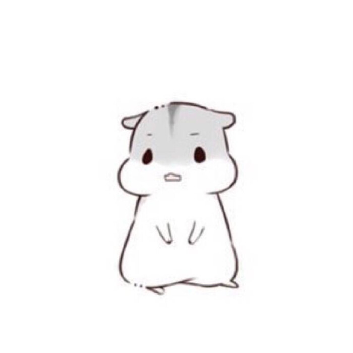 hamham小仓鼠