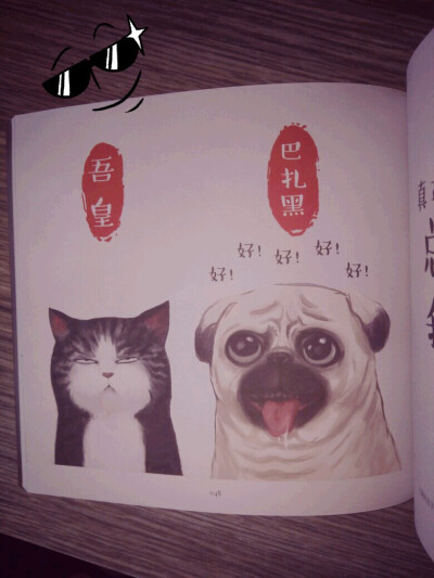 《就喜欢你看不惯我又干不掉我的样子》 吾皇and巴扎嘿