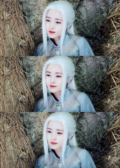 鞠婧t 雪飞霜